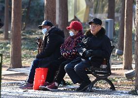 Chinese Elderly