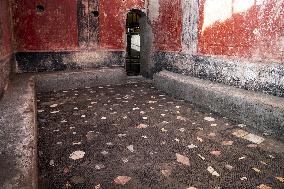 Biggest Ever Private Bathhouse Found - Pompeii