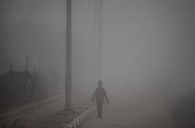 Ceasefire Deal Reached In Israel-Gaza War