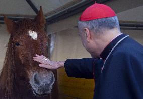 Feast of Saint Antony - Vatican