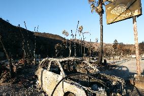 Disaster Areas Of Pacific Palisades After The Wildfire - CA