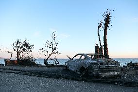 Disaster Areas Of Pacific Palisades After The Wildfire - CA