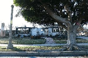 Disaster Areas Of Pacific Palisades After The Wildfire - CA