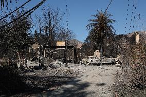 Disaster Areas Of Altadena After The Passage Of Eaton Fire - LA