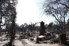 Disaster Areas Of Altadena After The Passage Of Eaton Fire - LA