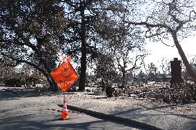 Disaster Areas Of Altadena After The Passage Of Eaton Fire - LA