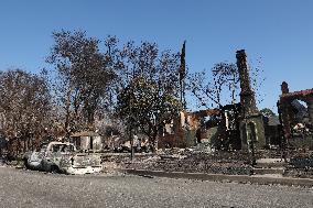 Disaster Areas Of Altadena After The Passage Of Eaton Fire - LA