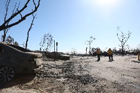 Disaster Areas Of Altadena After The Passage Of Eaton Fire - LA