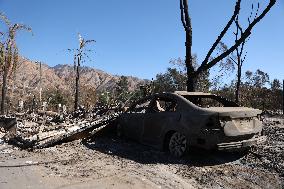 Disaster Areas Of Altadena After The Passage Of Eaton Fire - LA