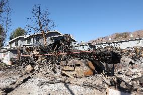 Disaster Areas Of Altadena After The Passage Of Eaton Fire - LA