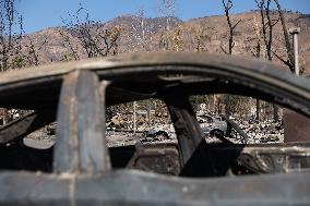 Disaster Areas Of Altadena After The Passage Of Eaton Fire - LA