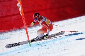 SPORT INVERNALI - Sci Alpino - AUDI FIS Ski World Cup - Downhill - Women