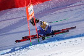 SPORT INVERNALI - Sci Alpino - AUDI FIS Ski World Cup - Downhill - Women
