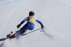 SPORT INVERNALI - Sci Alpino - AUDI FIS Ski World Cup - Downhill - Women