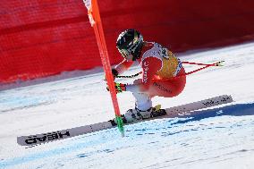 SPORT INVERNALI - Sci Alpino - AUDI FIS Ski World Cup - Downhill - Women
