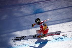 SPORT INVERNALI - Sci Alpino - AUDI FIS Ski World Cup - Downhill - Women