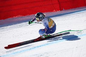 SPORT INVERNALI - Sci Alpino - AUDI FIS Ski World Cup - Downhill - Women