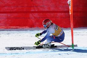 SPORT INVERNALI - Sci Alpino - AUDI FIS Ski World Cup - Downhill - Women