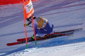 SPORT INVERNALI - Sci Alpino - AUDI FIS Ski World Cup - Downhill - Women