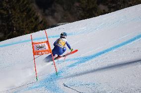 SPORT INVERNALI - Sci Alpino - AUDI FIS Ski World Cup - Downhill - Women