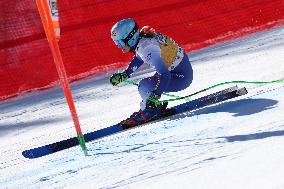 SPORT INVERNALI - Sci Alpino - AUDI FIS Ski World Cup - Downhill - Women
