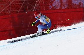 SPORT INVERNALI - Sci Alpino - AUDI FIS Ski World Cup - Downhill - Women