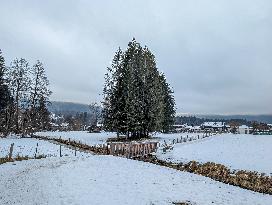 Winter Landscape In Bavaria