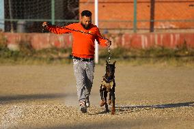 Breed Championship Dog Show In Nepal