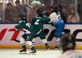 Iranian Sportswomen And The Ice Hockey Premier League