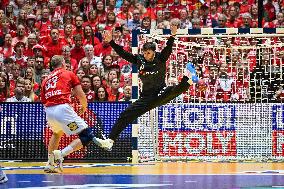 ALTRO - Pallamano - IHF Men's - Handball World Championship - Denmark vs Italy