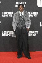 A Complete Unknown Premiere in Rome - Italy