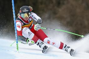 SPORT INVERNALI - Sci Alpino - AUDI FIS Ski World Cup - SuperG - Women