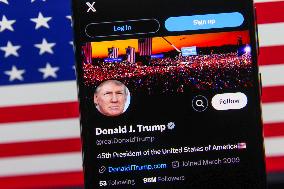 Donald Trump X Account Illustrations