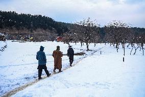 Winters In Kashmir