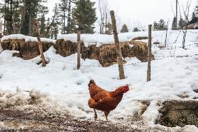 Winters In Kashmir