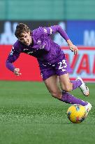 ACF Fiorentina v Torino FC - Campionato Serie A