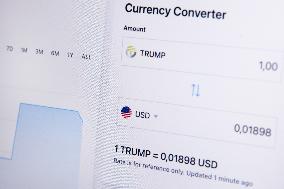 TrumpCoin Photo Illustrations