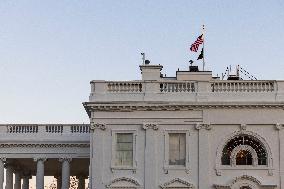 President Trump’s Inauguration