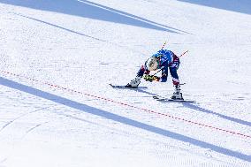 SPORT INVERNALI - Sci Alpino - AUDI FIS Ski World Cup - Giant Slalom - Women