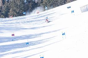 SPORT INVERNALI - Sci Alpino - AUDI FIS Ski World Cup - Giant Slalom - Women