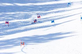 SPORT INVERNALI - Sci Alpino - AUDI FIS Ski World Cup - Giant Slalom - Women