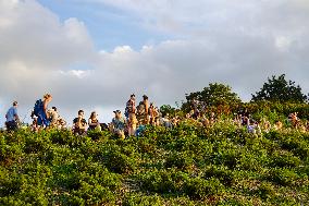 Olympic Mountain In Munich For Free Concert Experience