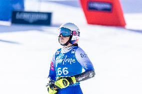 SPORT INVERNALI - Sci Alpino - AUDI FIS Ski World Cup - Giant Slalom - Women