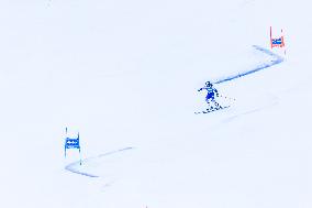 SPORT INVERNALI - Sci Alpino - AUDI FIS Ski World Cup - Giant Slalom - Women