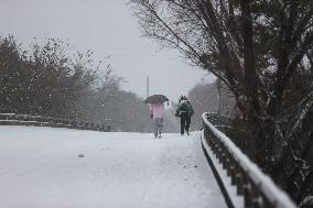 Snow Storm In Houston, Texas