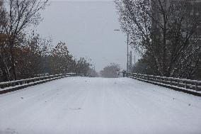 Snow Storm In Houston, Texas