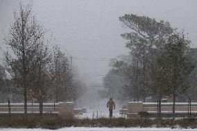 Snow Storm In Houston, Texas