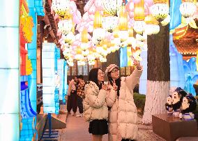 39th Qinhuai Lantern Fair Began in Nanjing