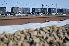 Coal Transportation - China