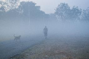 Heavy Fog In Kolkata